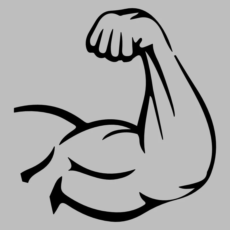 Muscles du bras biceps
