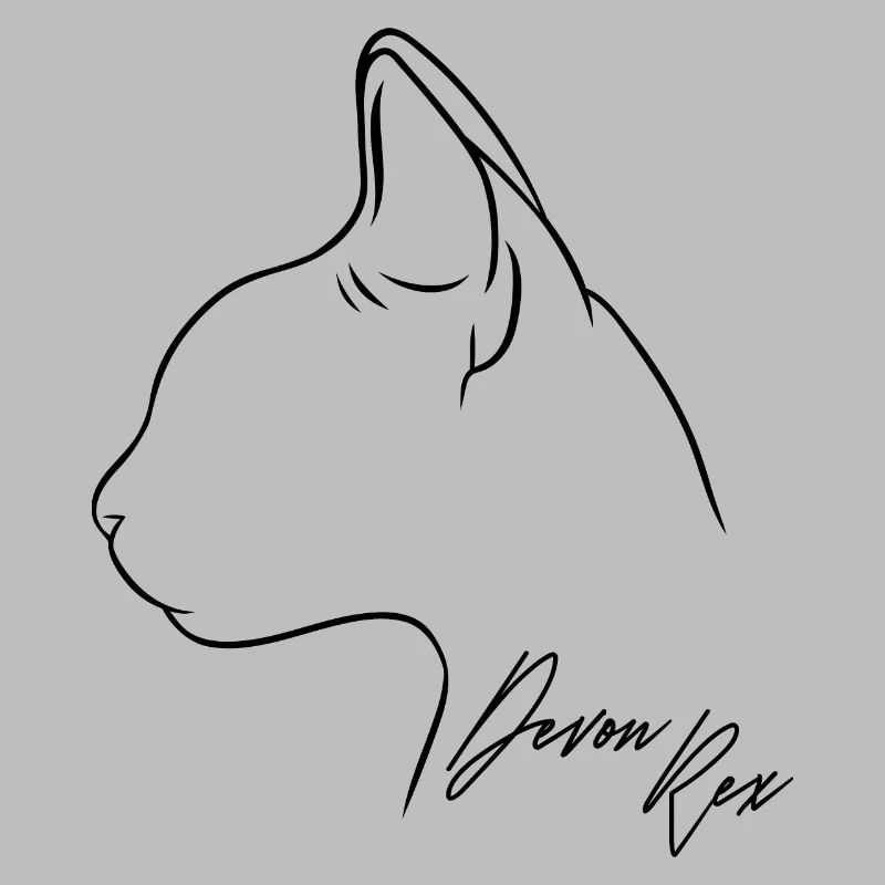Devon Rex Profil Katzen Katze Wilsigns