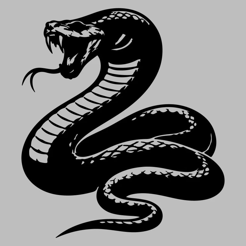 Silhouette du python serpent