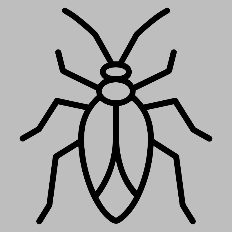 Aphid
