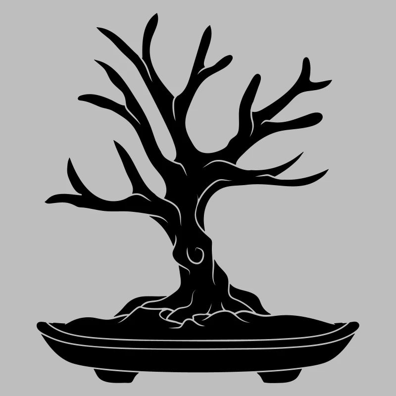 black tree cool bonsai baeumchen without leaves k