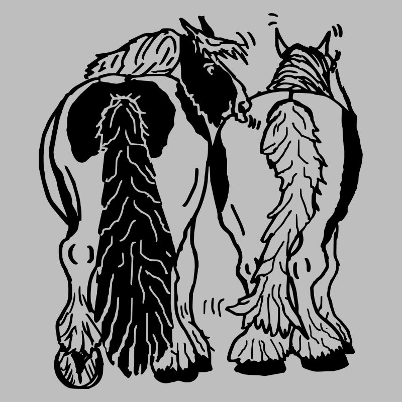 Funny tinker from behind, riding horses