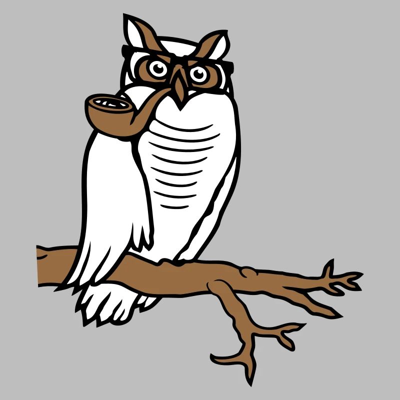Owl Pipe Smoking Old Grandpa Eagle Owl Branch Tree Forest
