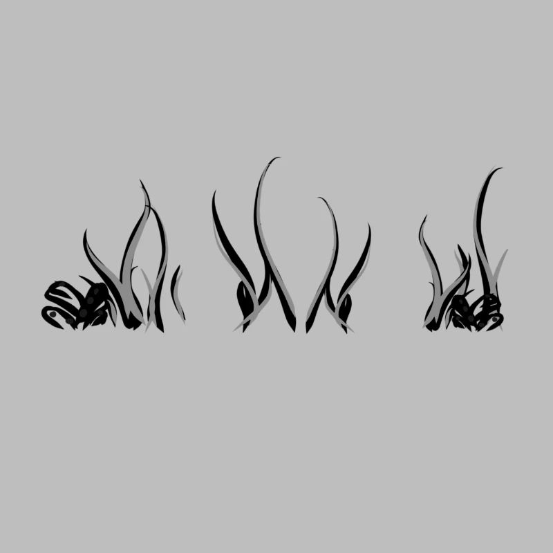 algae grass underwater algae plants