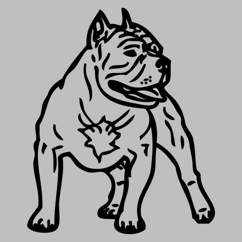 bullypitbull_1