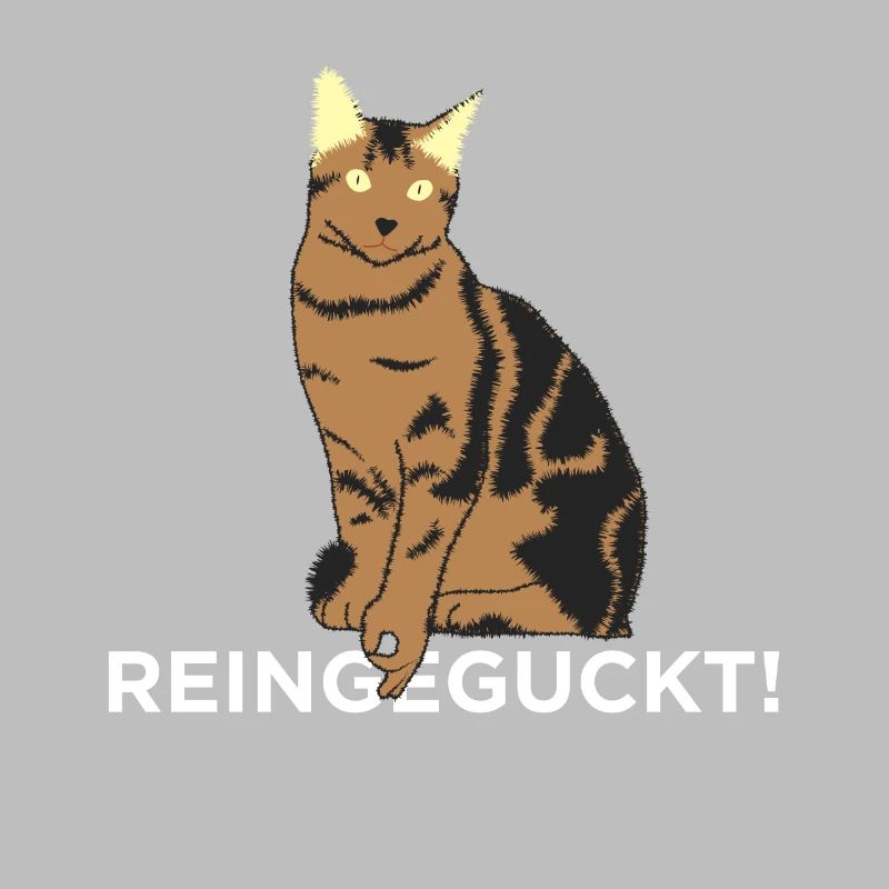 Regarde à l’intérieur - chat