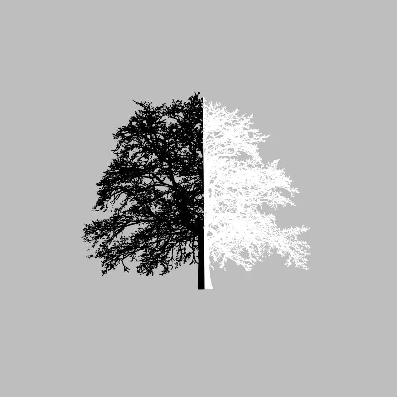 Baum Baum Schwarz Weiß Illusion