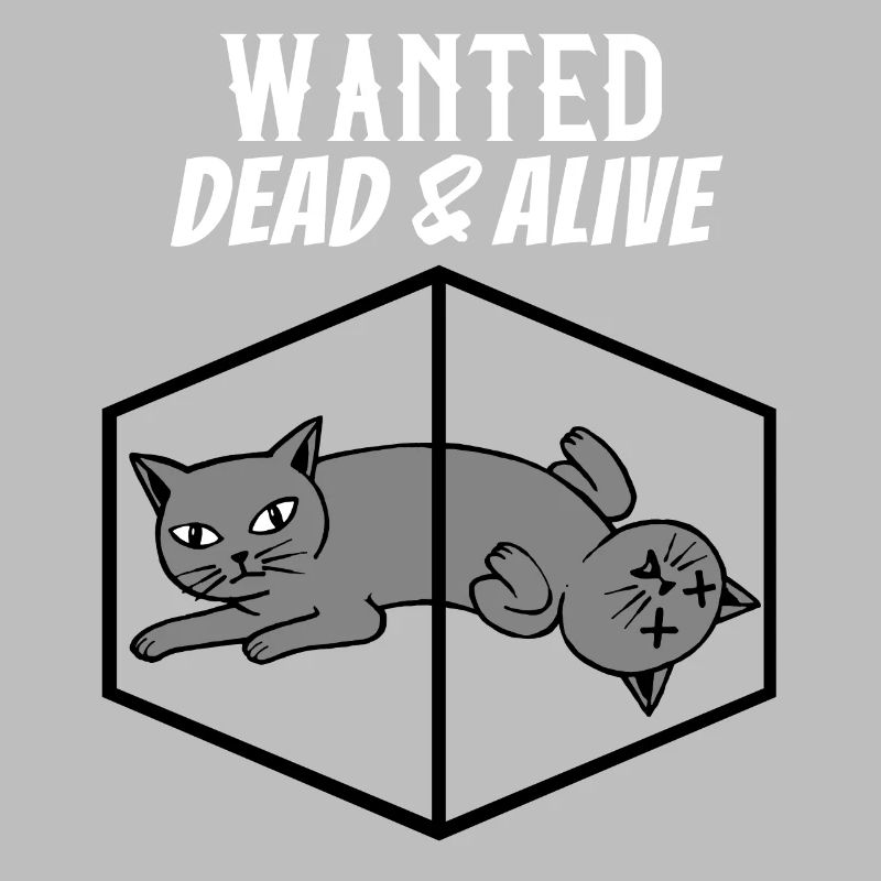 Schrödinger's cat physics quantum mechanics physicist