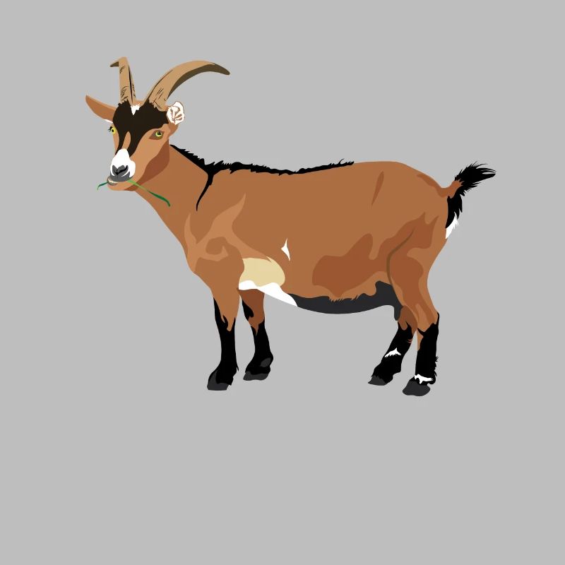 chèvre