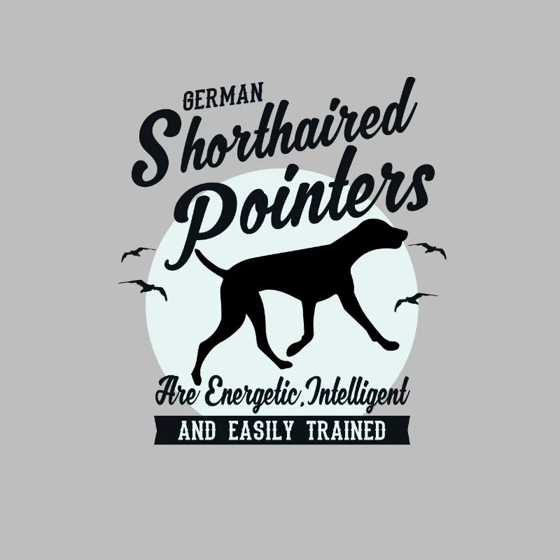 Pointer Hunderasse