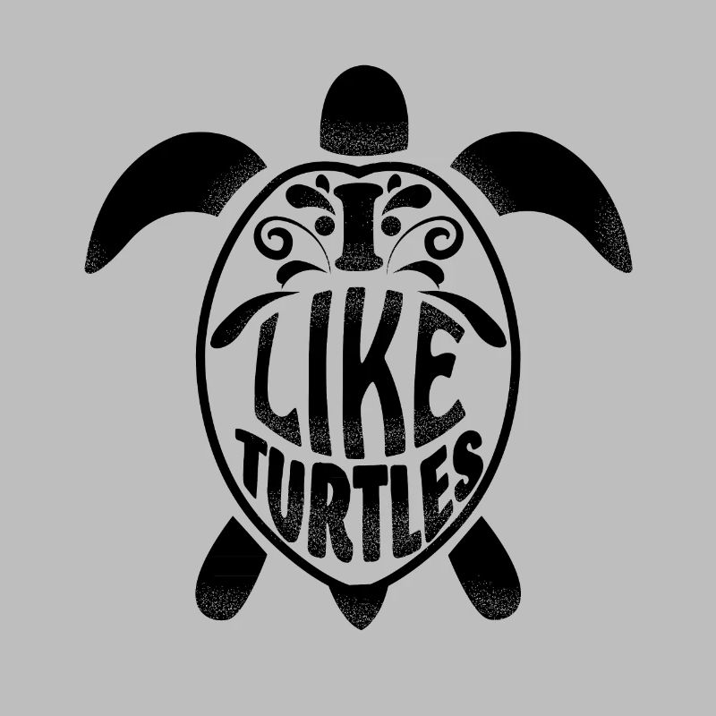 cool turtle gift