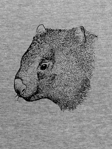 wombat drawing