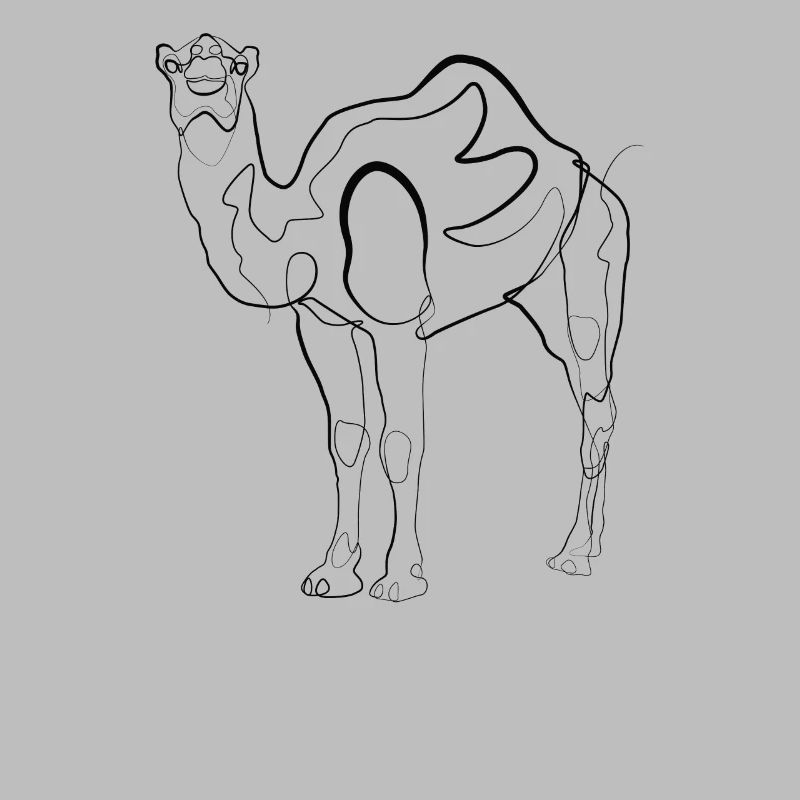 Kamel Dromedar - one line drawing