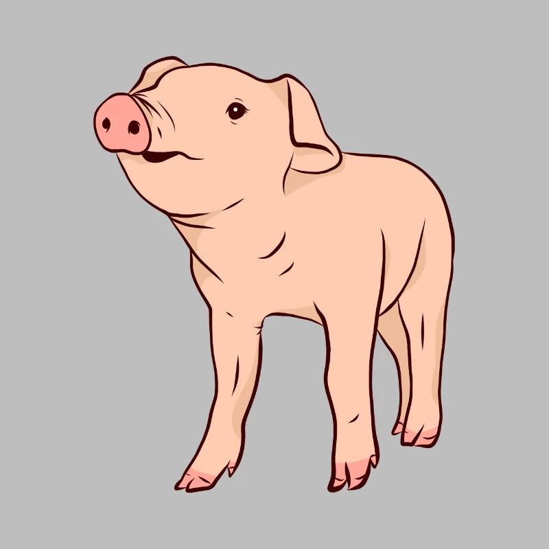 Cochons Cochons Cochons