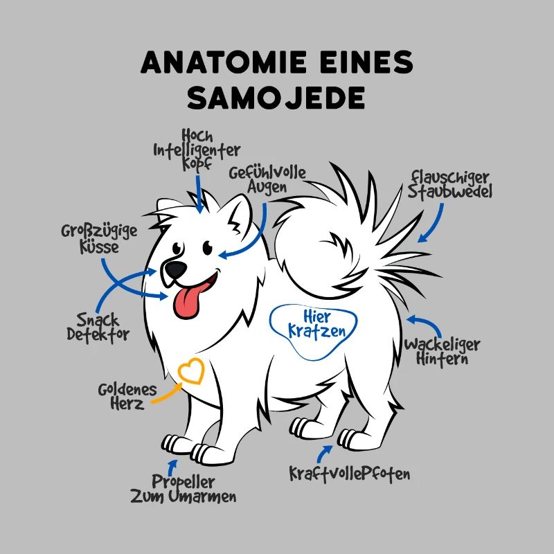 Samojede Hund Anatomie