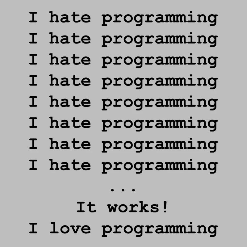 Developer computer scientist