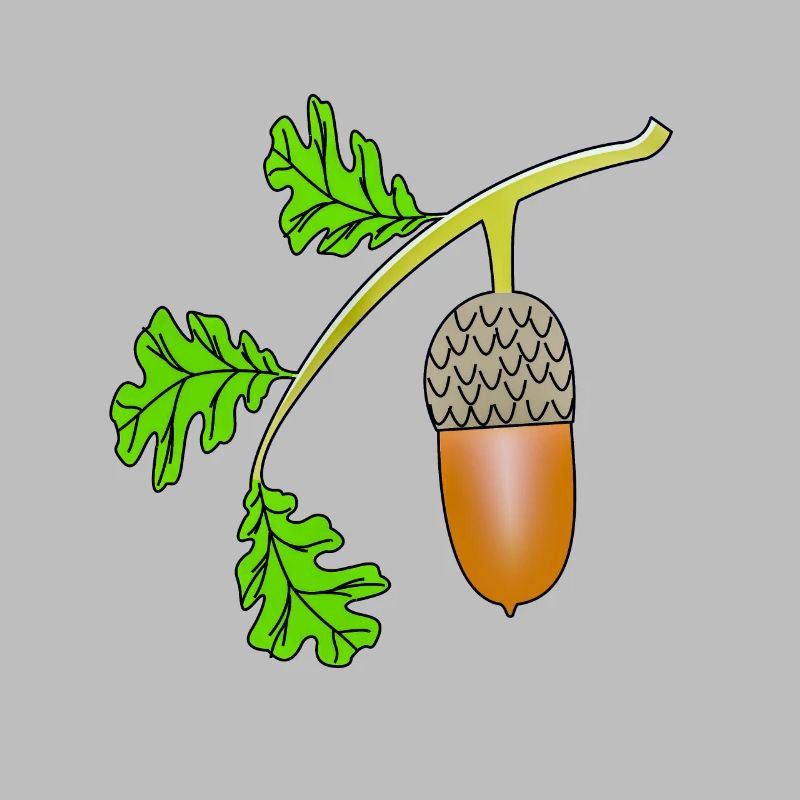 Eichel Blatt Eiche bea