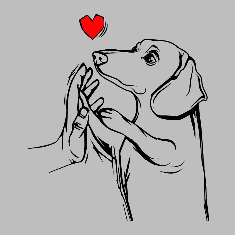 dachshund