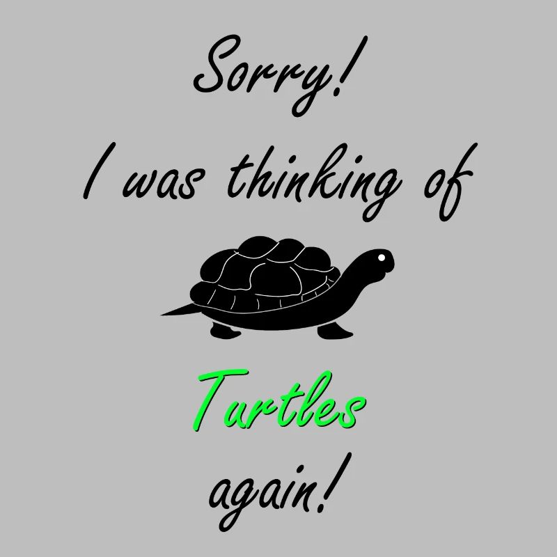 Turtle Turtle
