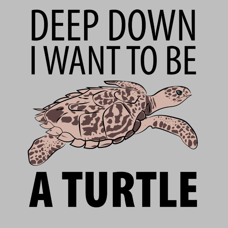 Turtle turtle