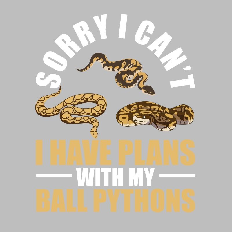 Plans With My King Python Snake Boa
