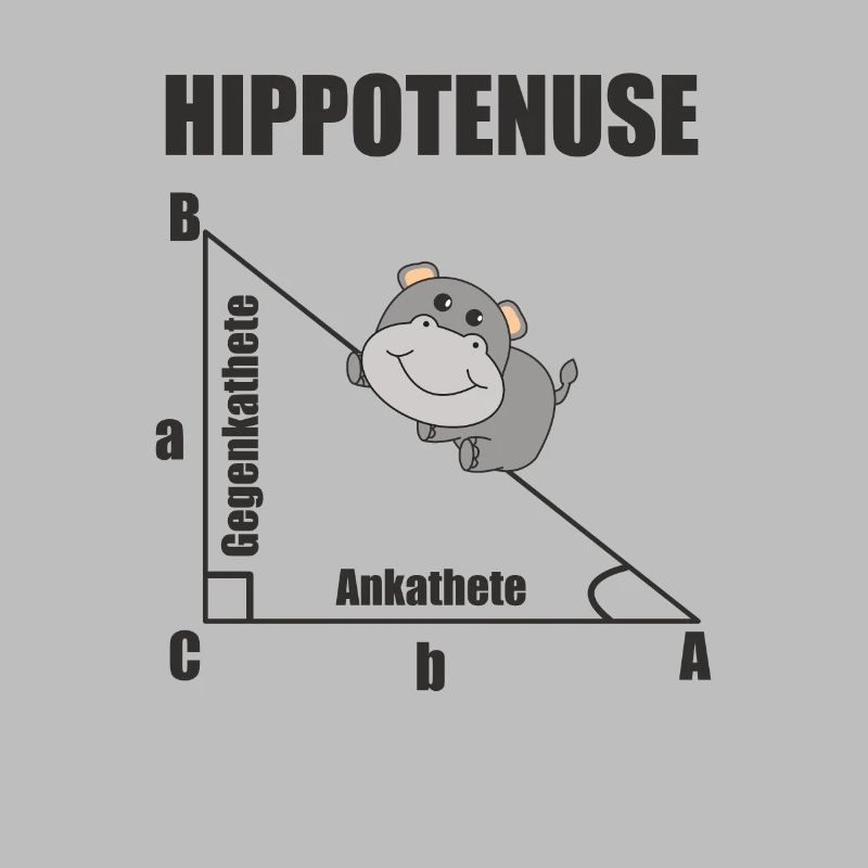 Nerd Geometry Hippotenuse Hypotenuse Math