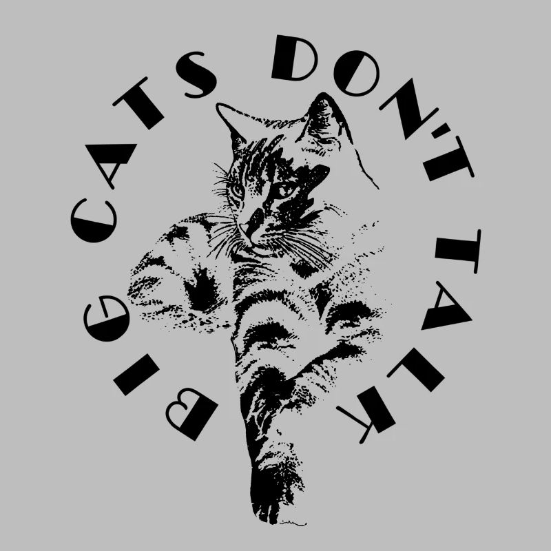 BIG CATS DON'T TALK | Black cat
