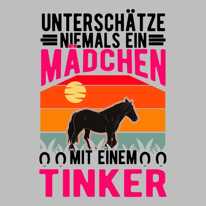 Irish Tinker Pferd Mädchen Tinkerpferd