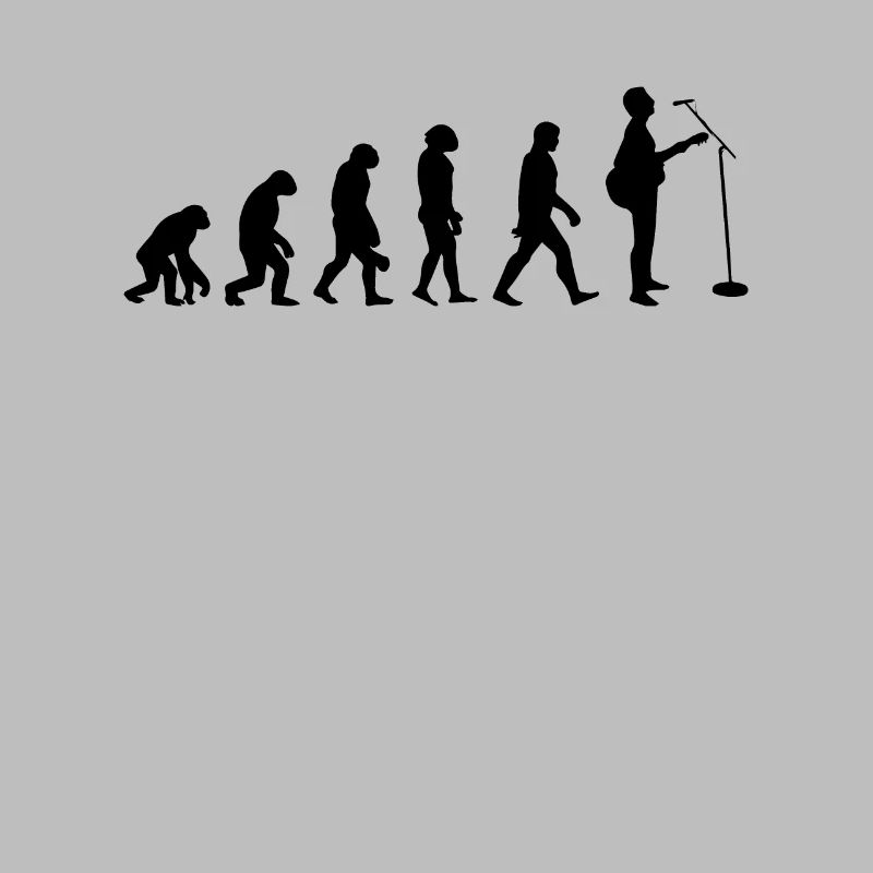 Évolution Du Guitare