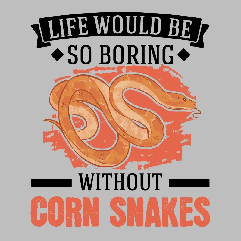 Corn Snake Gift Corn Snake