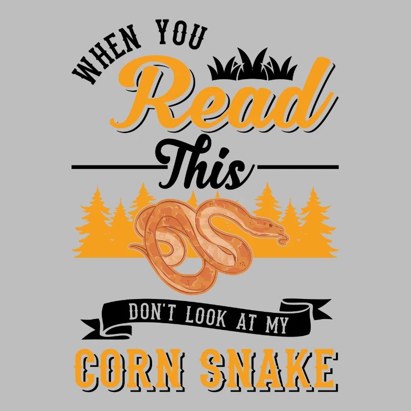 Corn Snake Gift Corn Snake