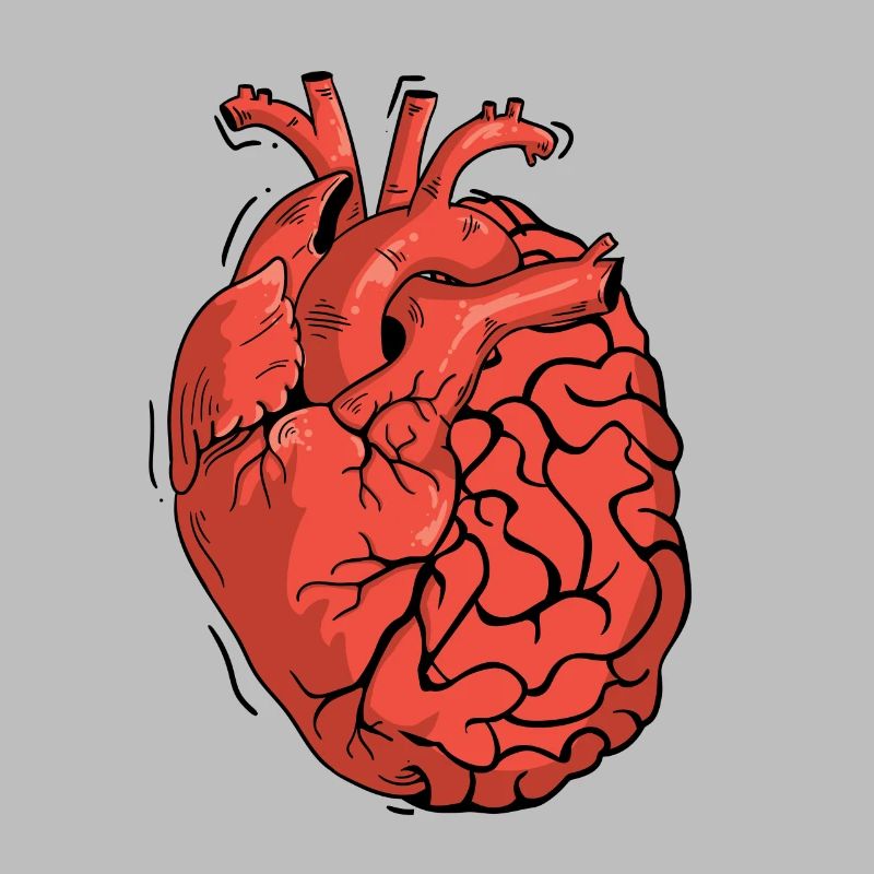 Half Brain Half Heart Organ Anatomy Science