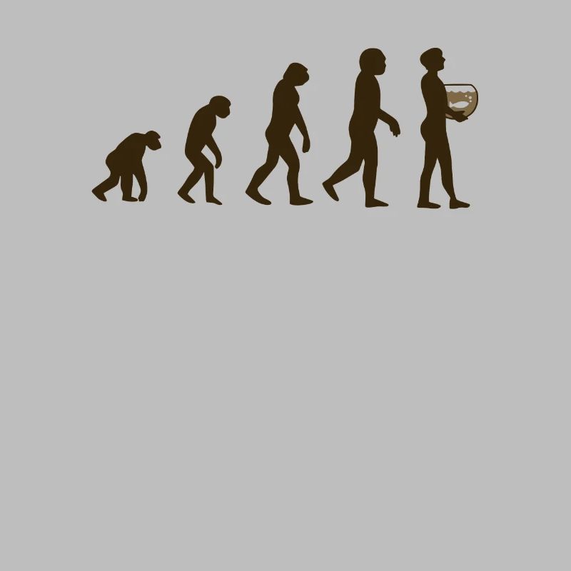 Évolution de l’aquarium