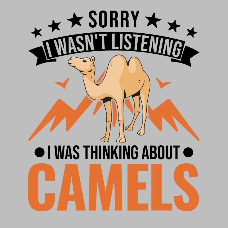 Kamel Dromedar Ägypten Geschenk Großkamel