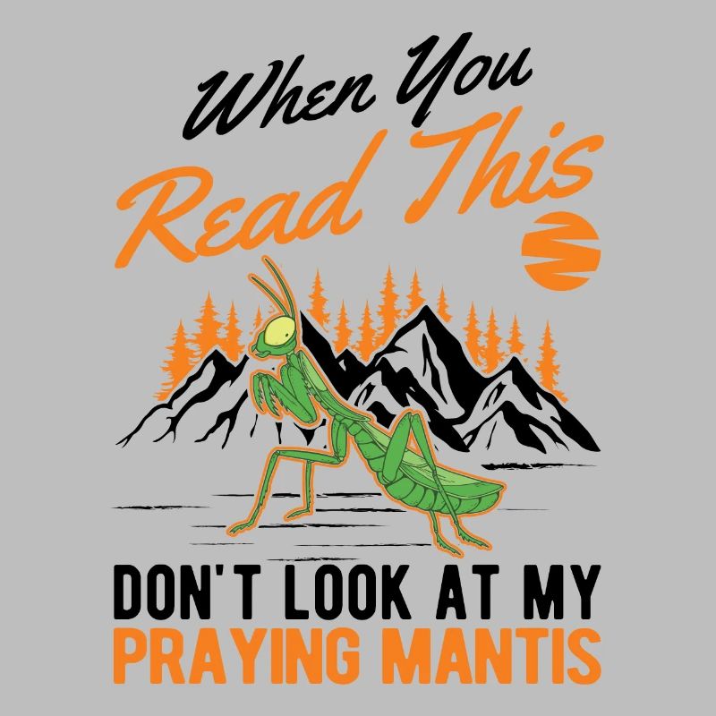 Praying mantis Gift Mantis Mantis