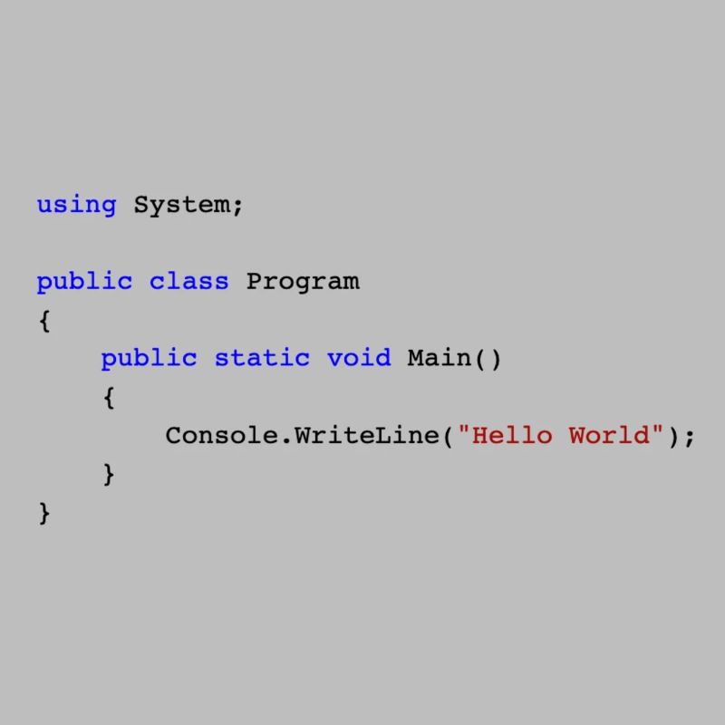 C # .NET Code Hello World Programmer Gift
