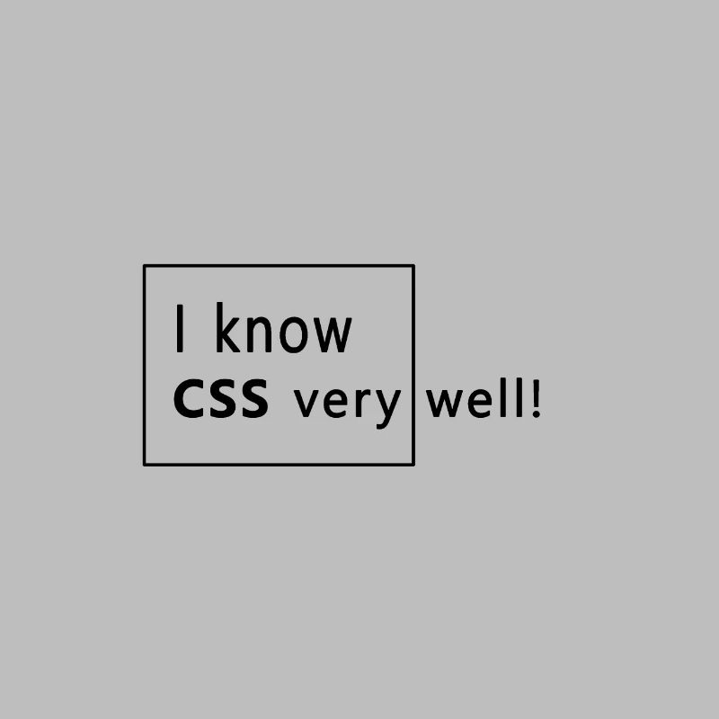 Web developer - CSS