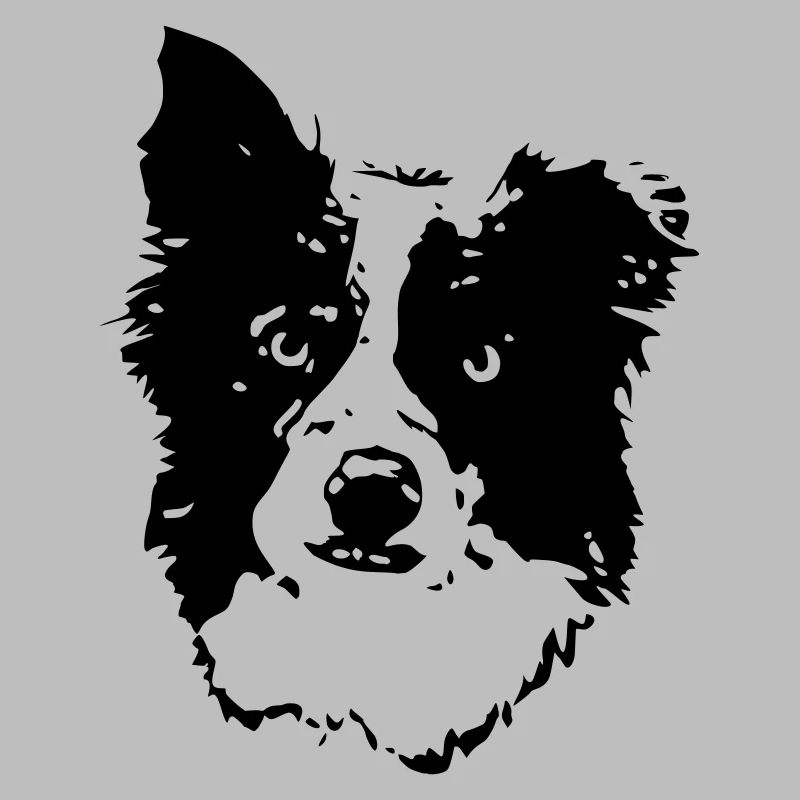 Border_Collie2_cb