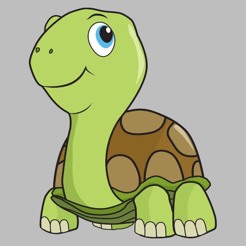 Tortoise turtle