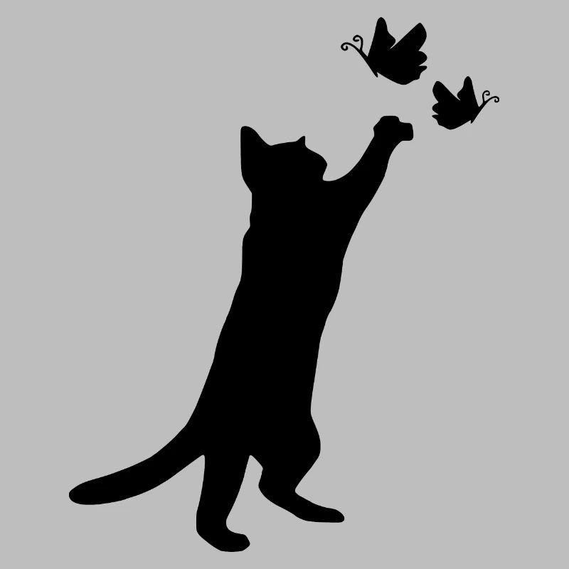 chat chat chat jouer chatte mignon chat bébé chat