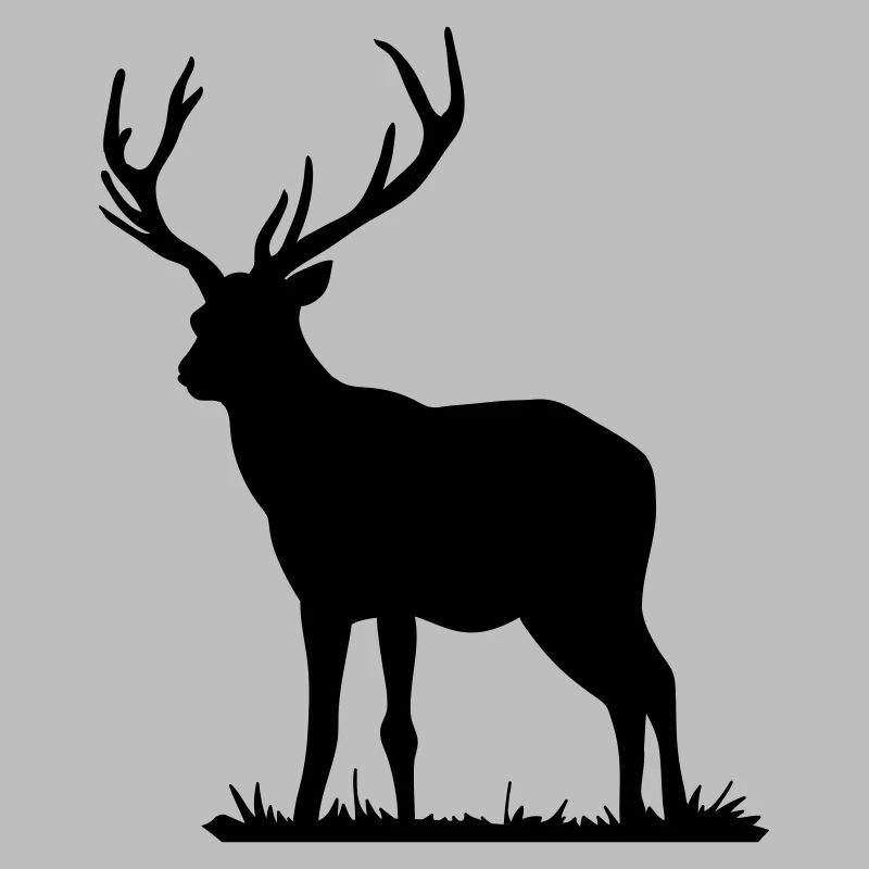 Hirsch