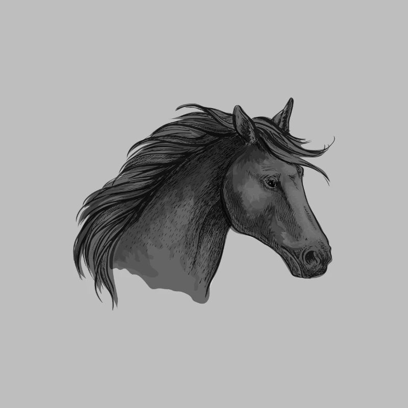 Cheval