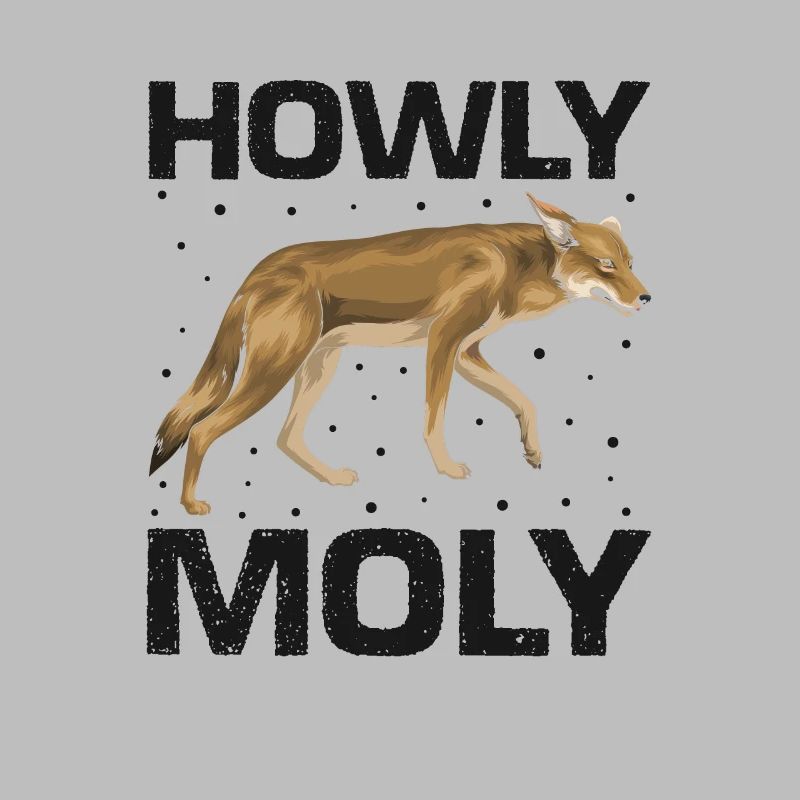 Conception de coyote pour les réacteurs de coyote