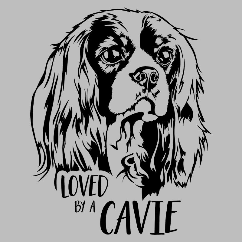 Cavalier King Charles Spaniel loved by a Cavie