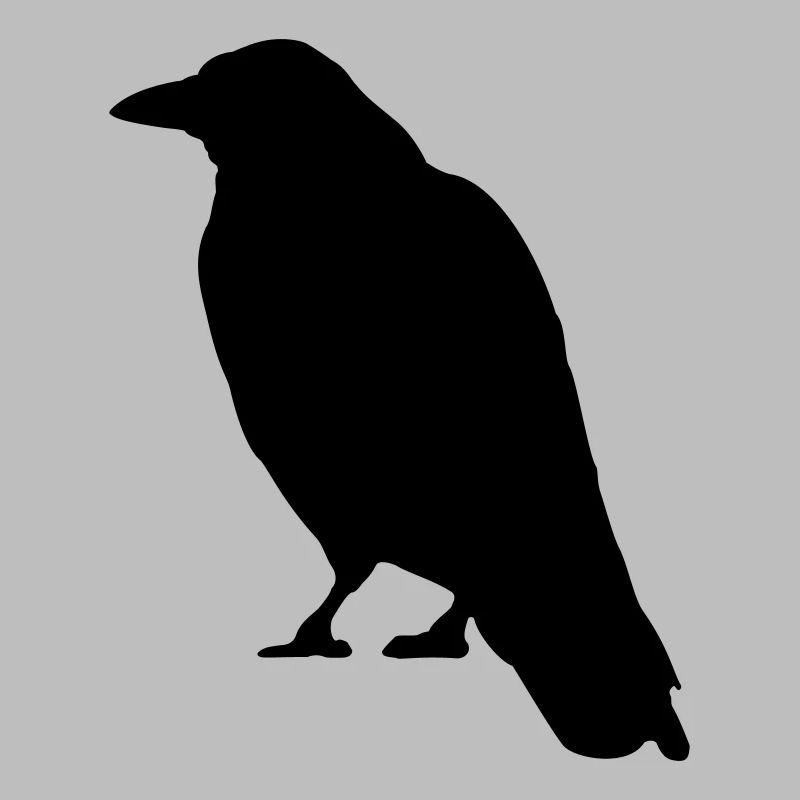Black Crow Vogel