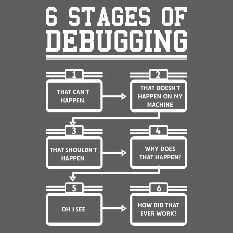 6 Stages of Debugging Programmer Software