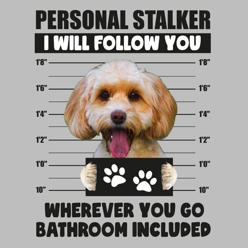 Persönlicher Stalker Hund, Funny Cockapoo Lover Geschenk