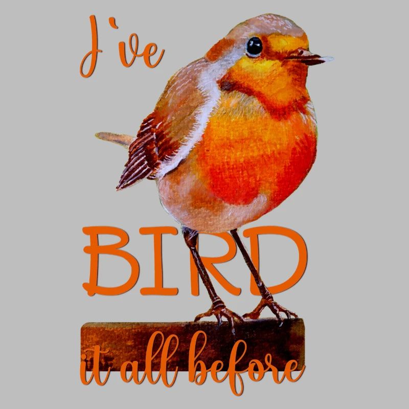 Robin cute bird Bird it all before
