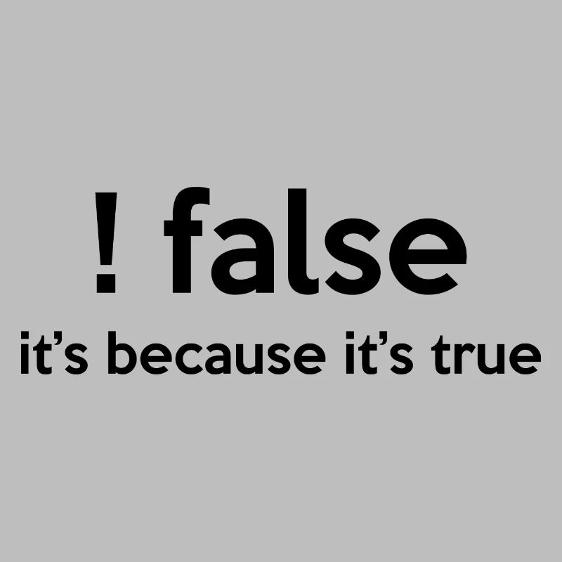 False It's Funny Because It's True Programmer Comp