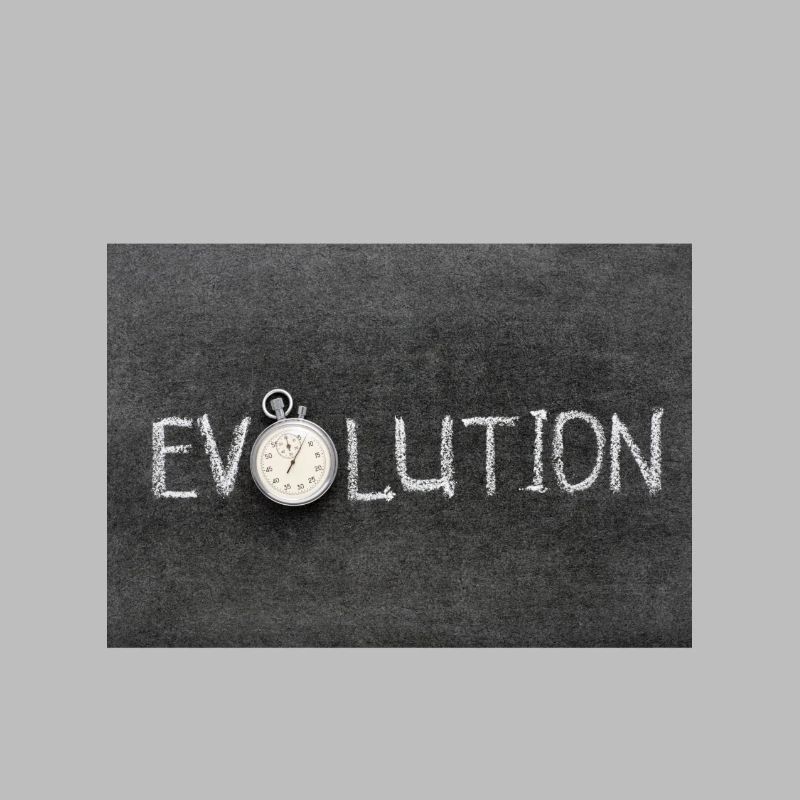 Evolution